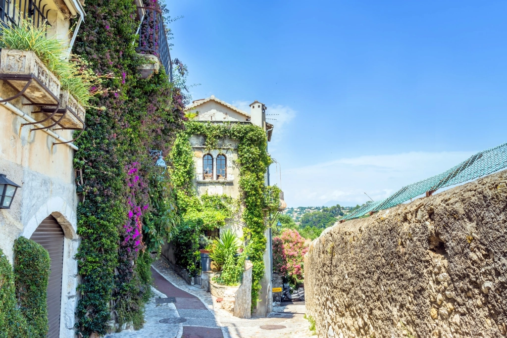 My Provence: Aix en Provence: Full-day tour