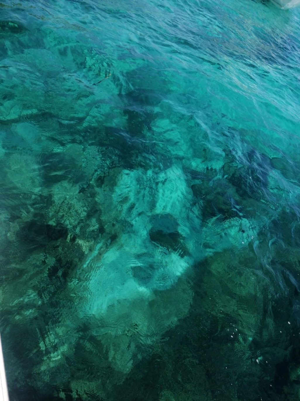 Family trip: The Lerins Islands: the Island of the Iron Mask